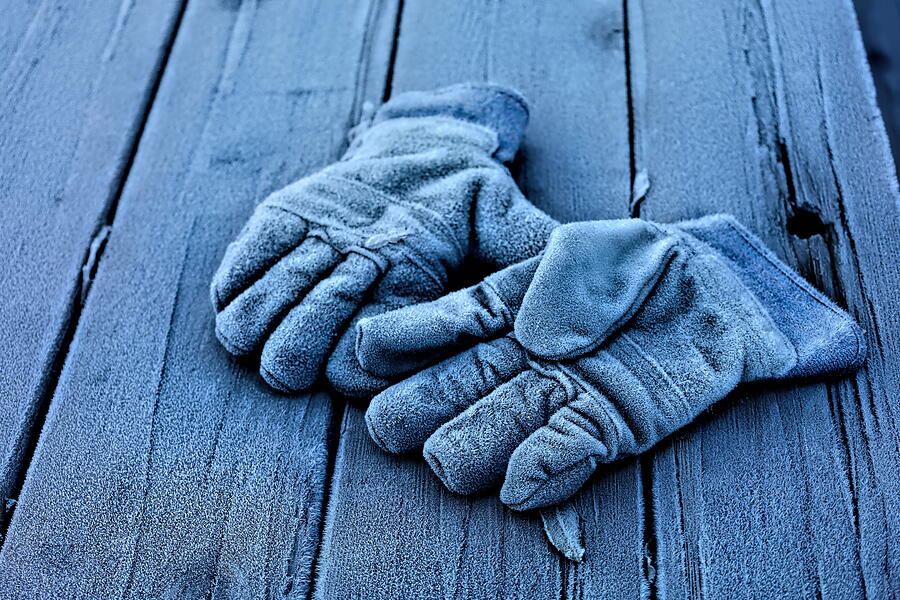 Frozen Bench Work Gloves Photograph by Ian McAdie