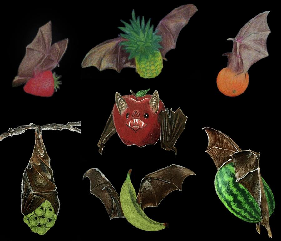 fruit bat drawing