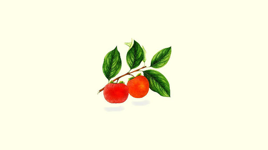 Fruit Pyrography - Fruit by Khal Drogo