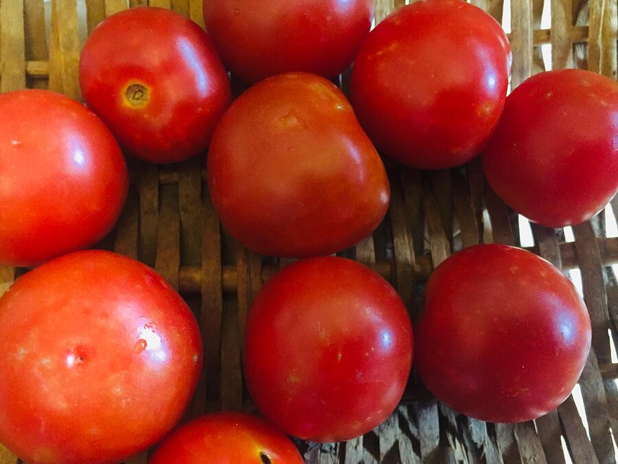 Fruit-Fresh Cherry Tomatoes  Photograph by Shelli Fitzpatrick