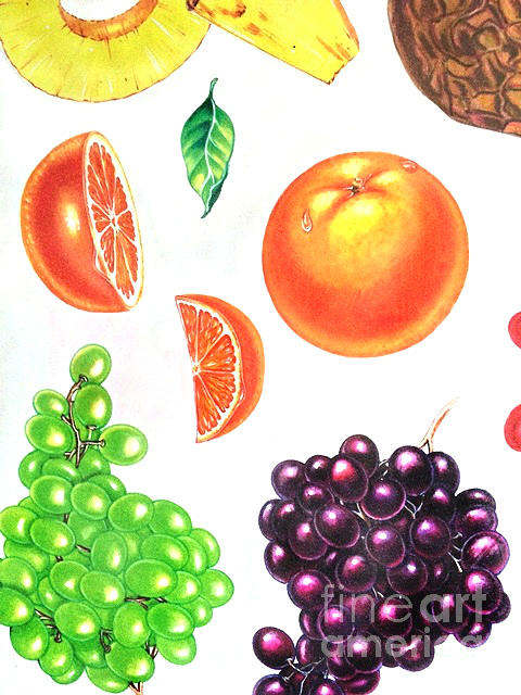 Fruit Illustrations - Markers and Pencil Photograph by Miriam Danar
