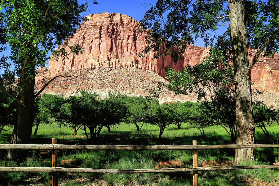 Fruita Orchards - Capital Reef Photograph by Donna Kennedy