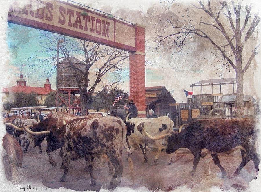 Ft Worth Texas Stock Yard Photograph by Amy Hosp