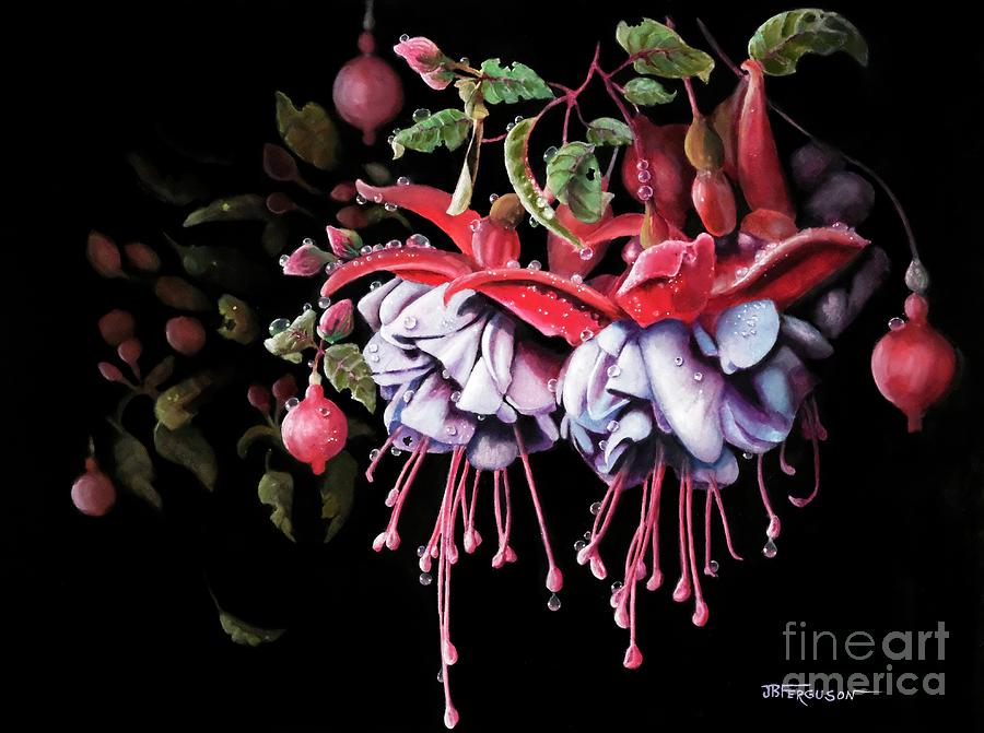 Fuchsia Painting by Jeanette Ferguson