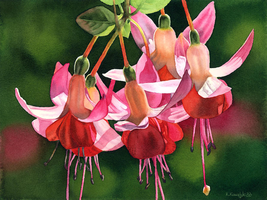Fuchsia Painting by Espero Art