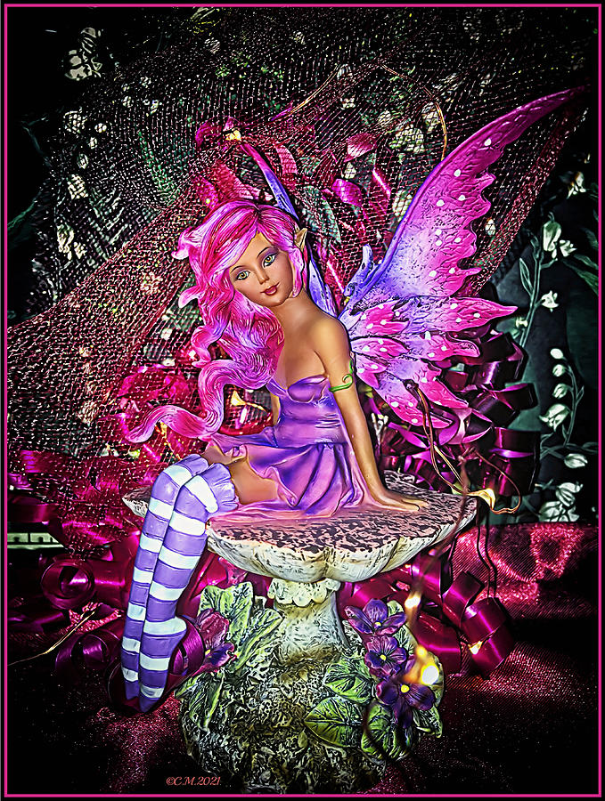 Fuchsia Lavender Pixie Photograph by Catherine Melvin