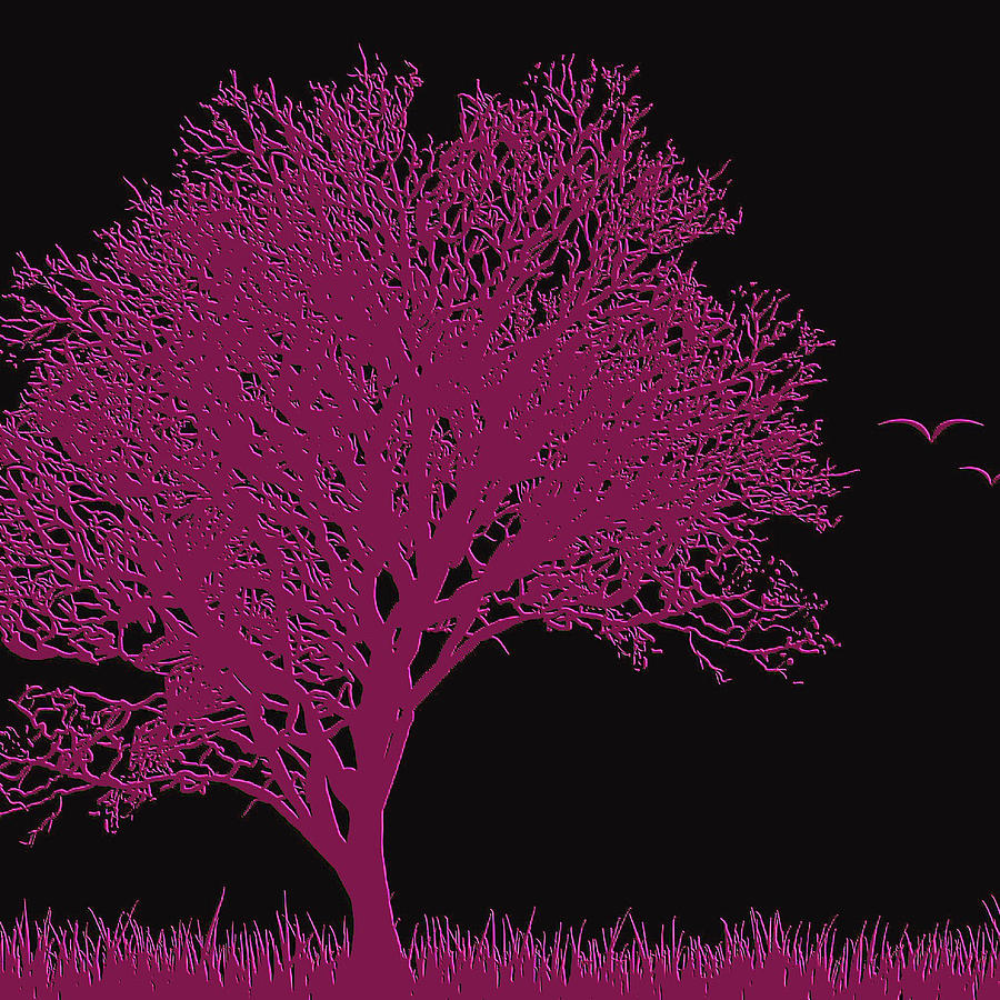 Fuchsia Tree Digital Art by Bonnie Bruno