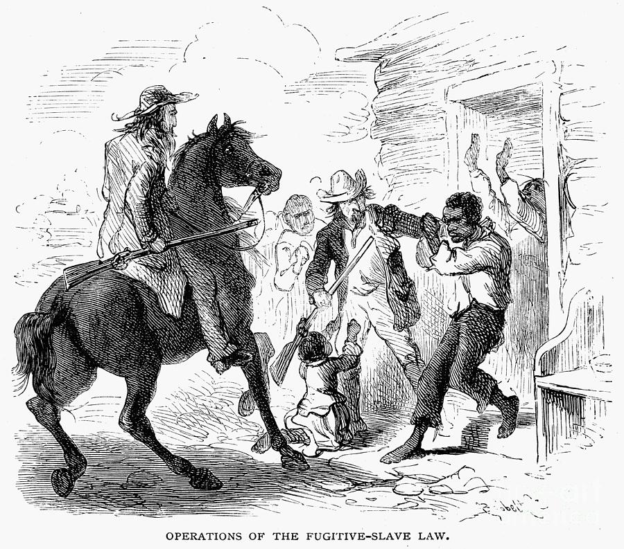 Horse Drawing - Fugitive Slave Act, 1850 by Granger