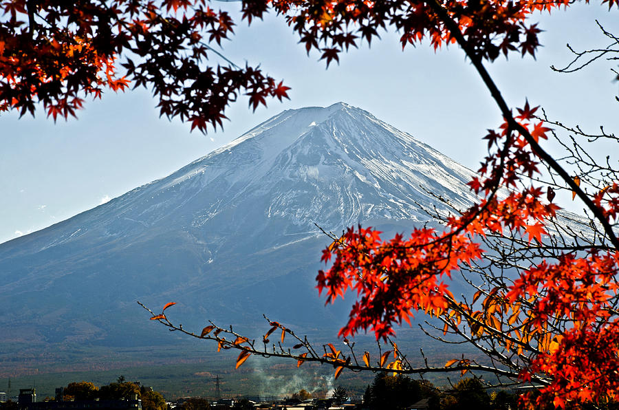 Fuji Mountain in Autumn. Photograph by Thananat