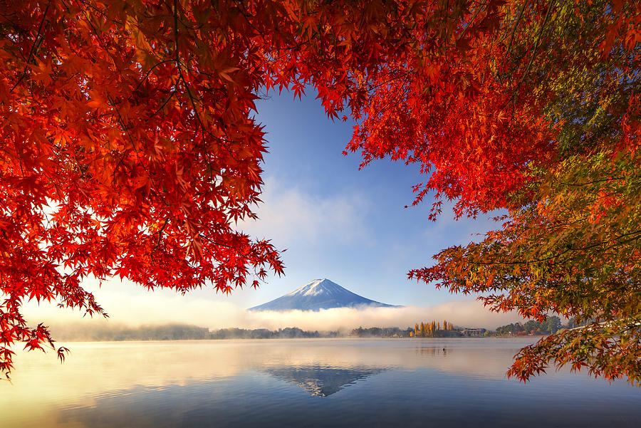 Fuji Mountain Reflection and Red Maple Trees with Morning Mist at Kawaguchiko lake in Autumn Photograph by DoctorEgg