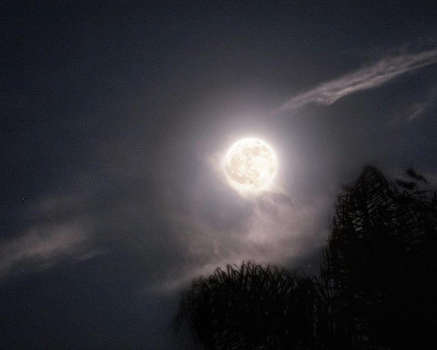 Full Beaver Moon 2020 Photograph by Jonathan T Grayson