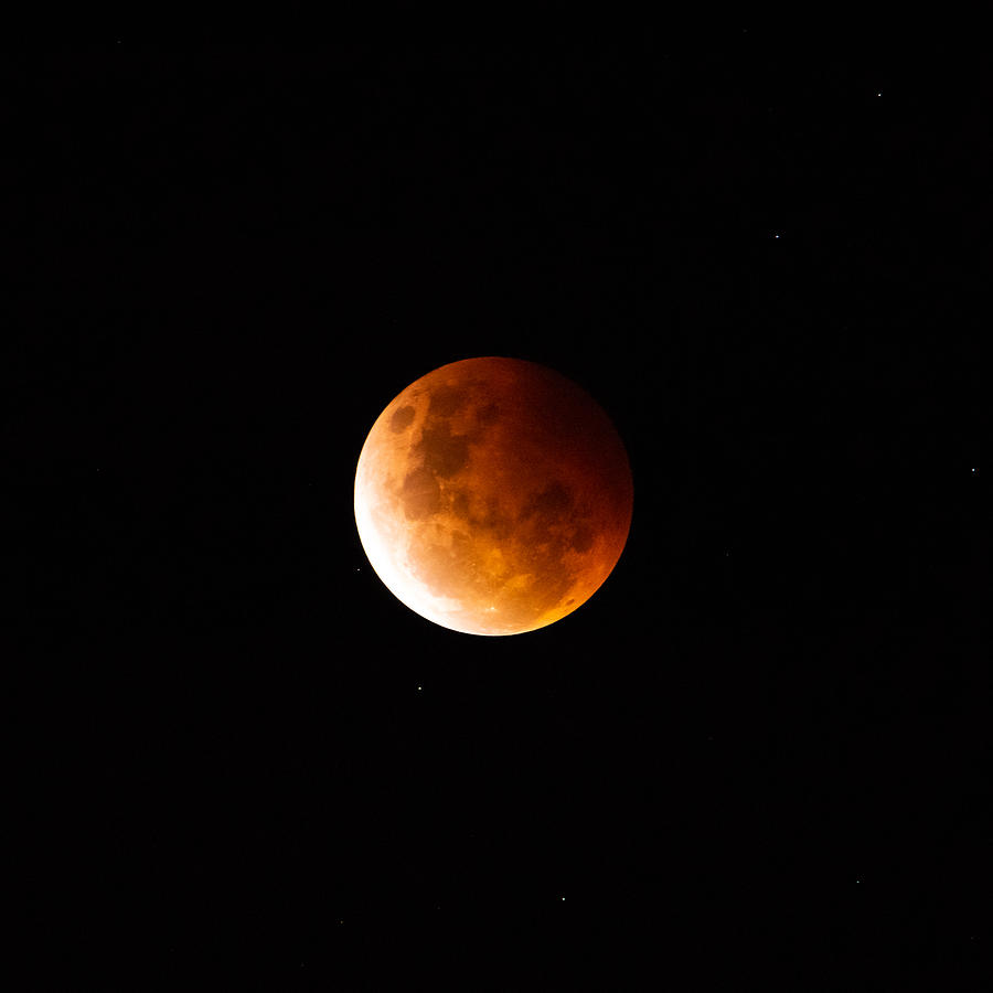 Full Blood Moon Lunar Eclipse Photograph by Maria Hatzistergos - Fine ...