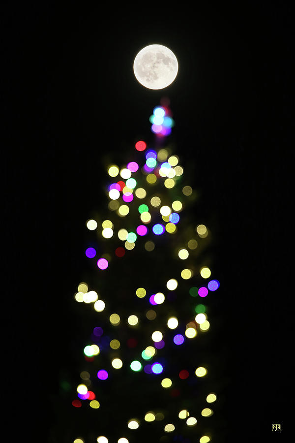 Full Christmas Tree Moon 2 Photograph by John Meader