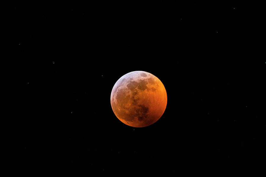Full Eclipse of the Super Blood Wolf Moon Photograph by Tommy Farnsworth