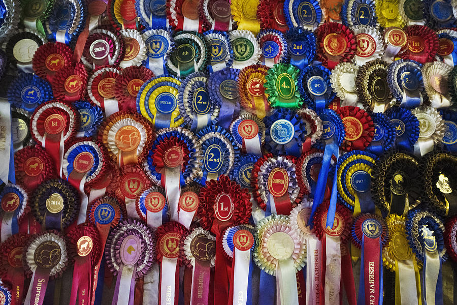 Full frame close up of a large display of winning rosettes, competition awards in various colours. Sporting competitions or show animal awards.  Photograph by Mint Images