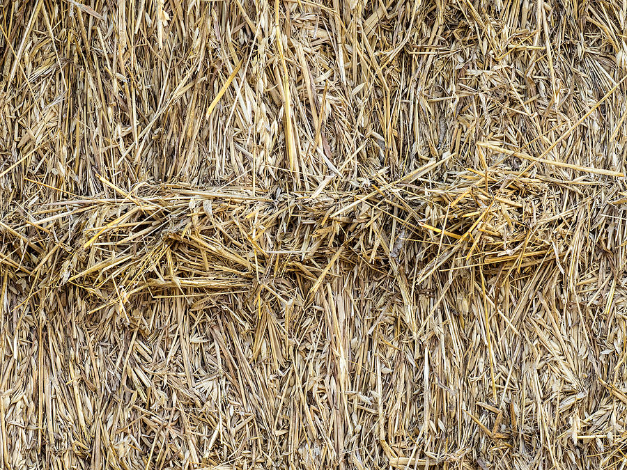 Full frame of a dry straw bale in the field, Spain Photograph by Jose A. Bernat Bacete