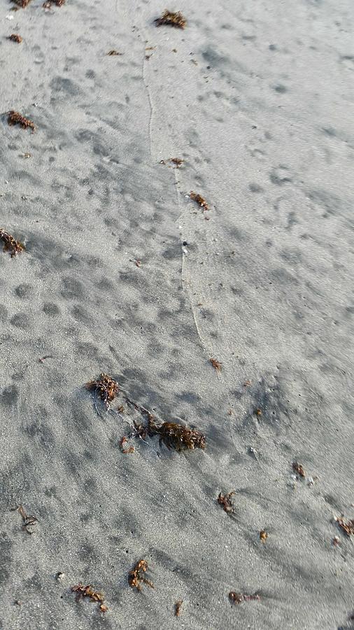 Full frame view of beach sand Photograph by Renata Rendon / FOAP