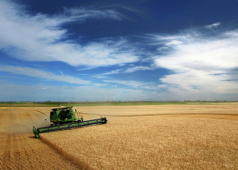 Full Hopper - John Deere combine harvesting wheat on rolling ND prairie Photograph by Peter Herman