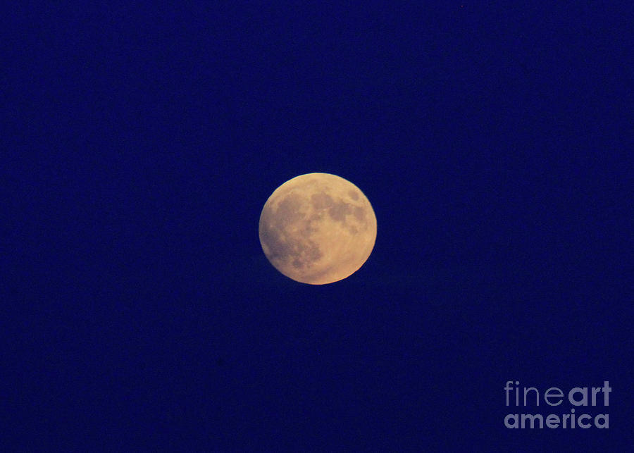 Full Moon and Deeo Ble Sky Photograph by Paula Guttilla