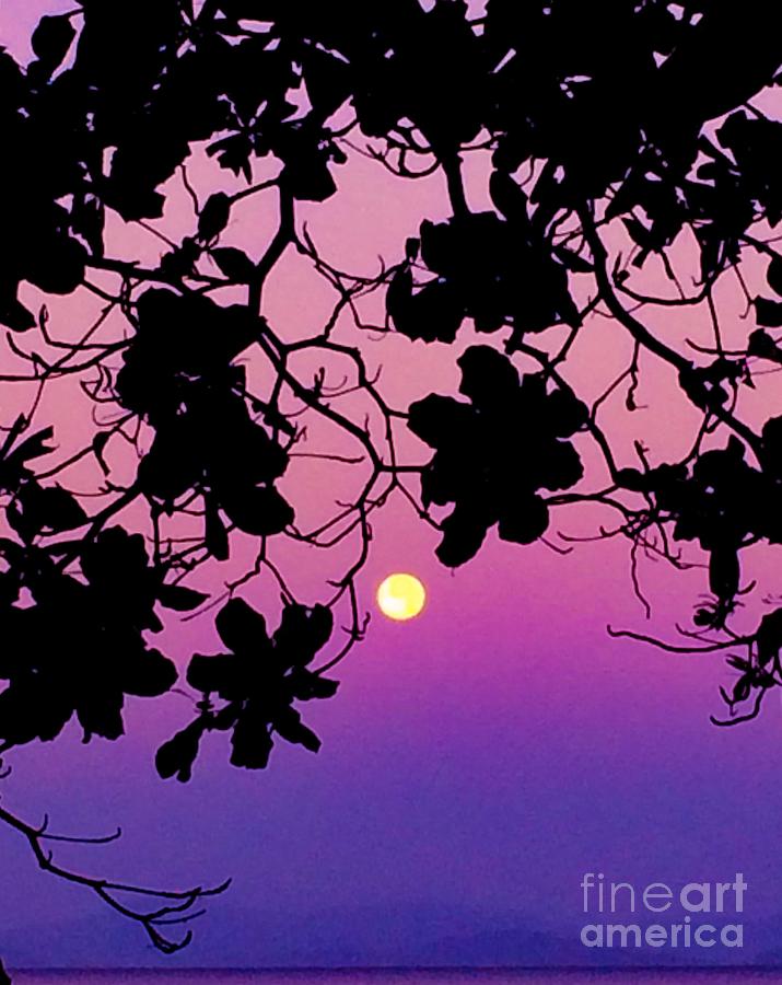 Full moon at sunrise  Photograph by Natalia Wallwork
