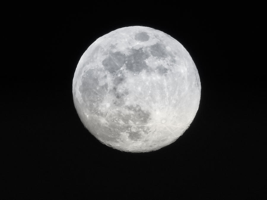 Full Moon by Russ Considine Photograph by Russ Considine