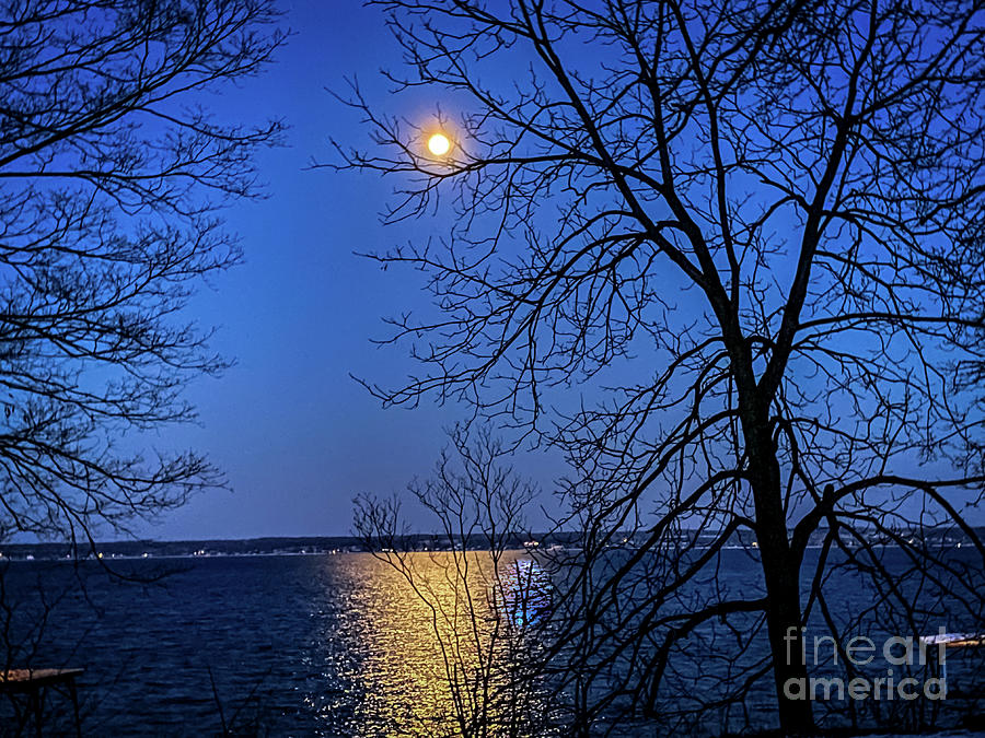 Full Moon February Photograph by William Norton Fine Art America