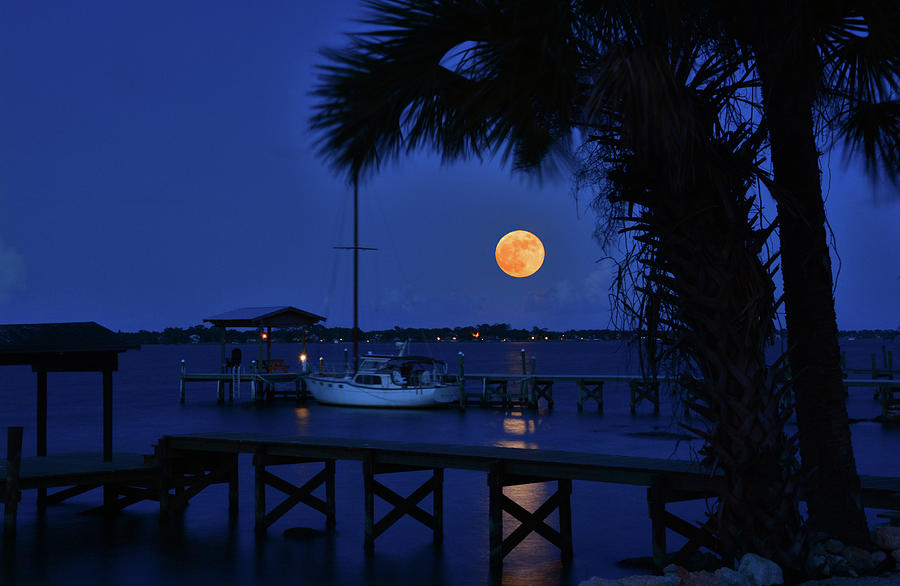 Full Moon Fever Photograph by Ben Prepelka