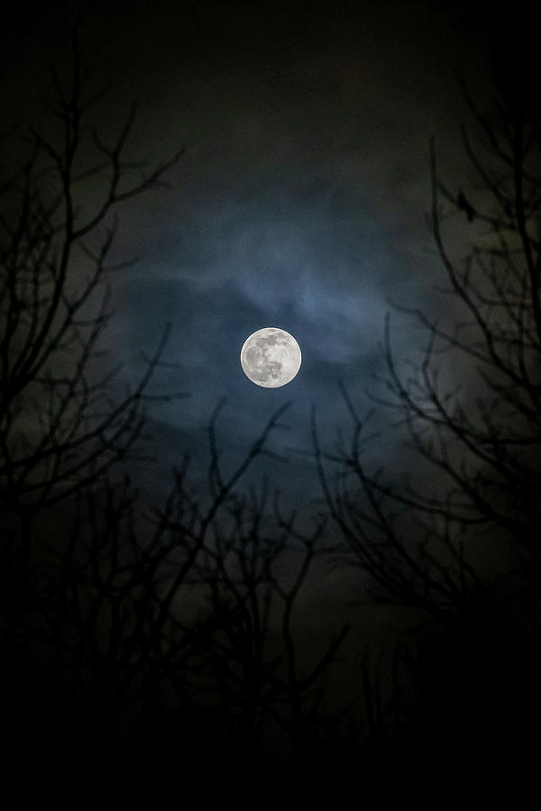 Full Moon Photograph by Flowstate Photography