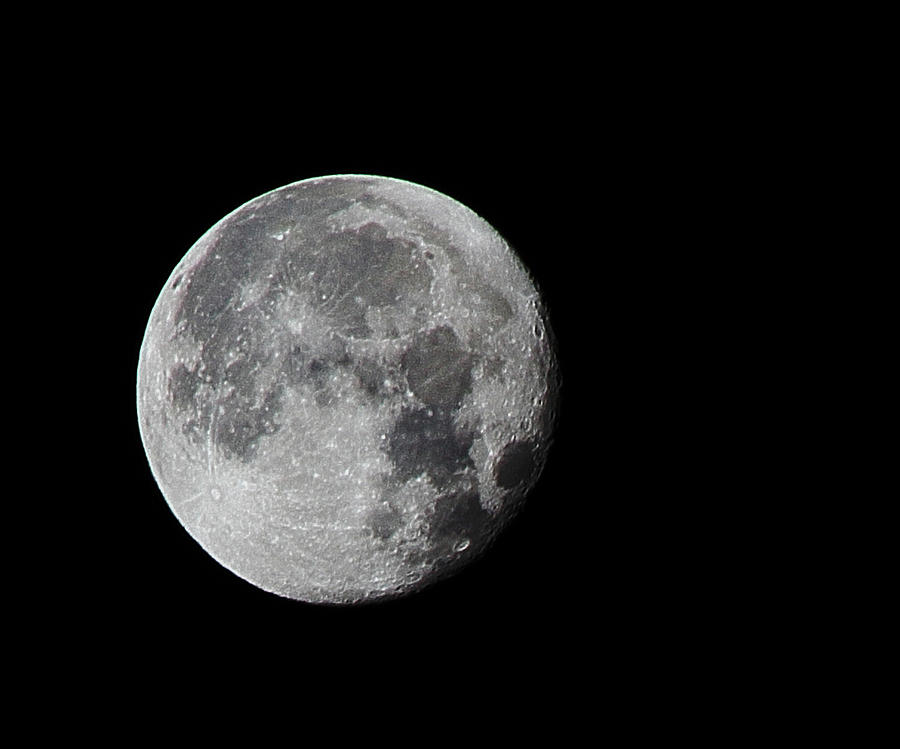 Full Moon Photograph by Gregg Ott