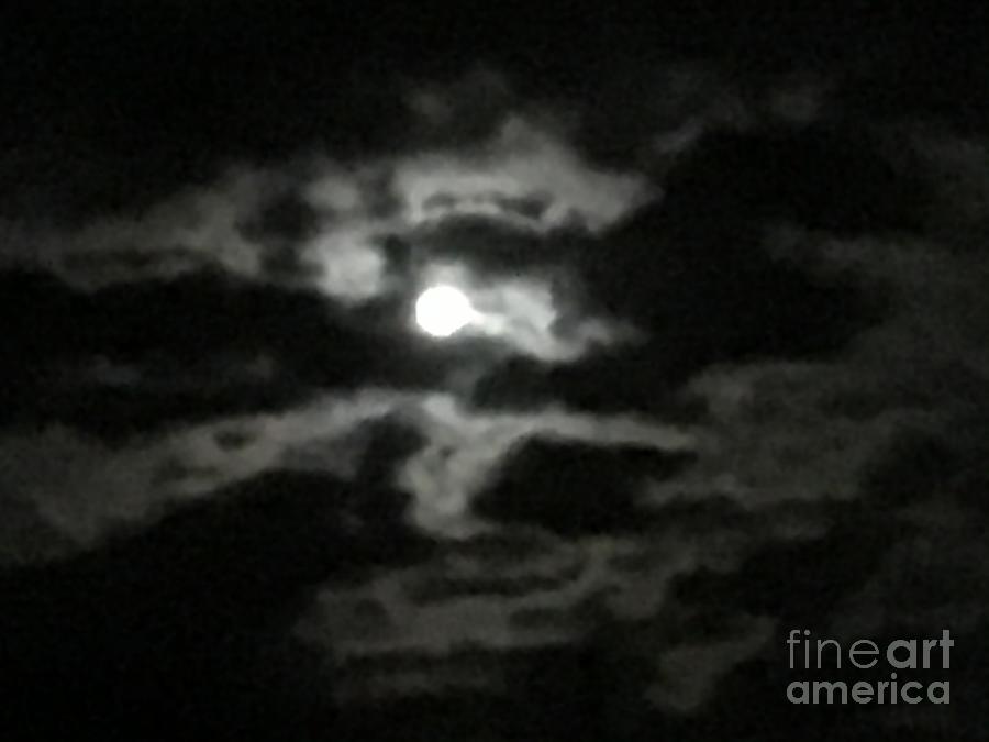 Full Moon Halloween 2020 Photograph by Catherine Wilson
