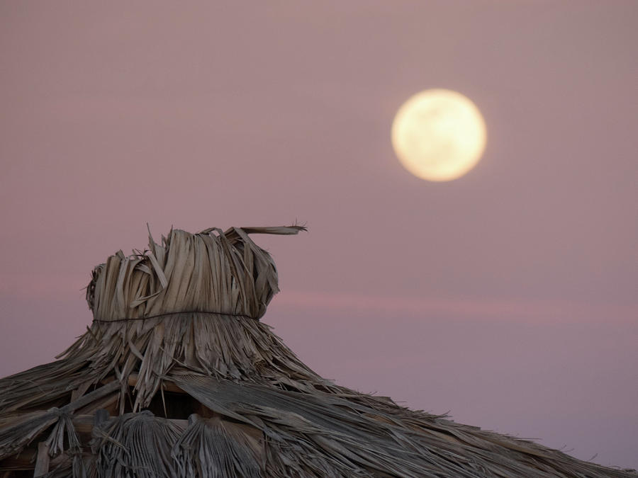Full Moon in Baja Photograph by Margaret Pitcher