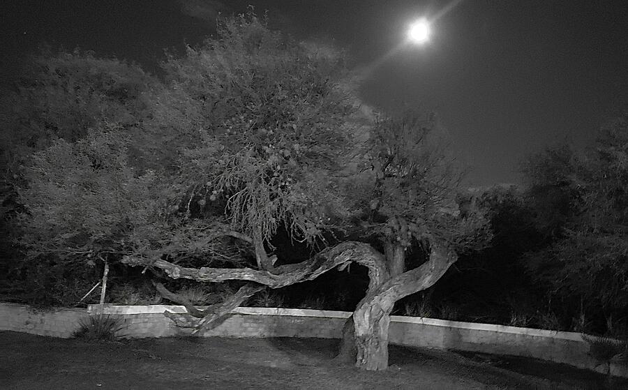 Full Moon In Matehuala Photograph by Rosanne Licciardi