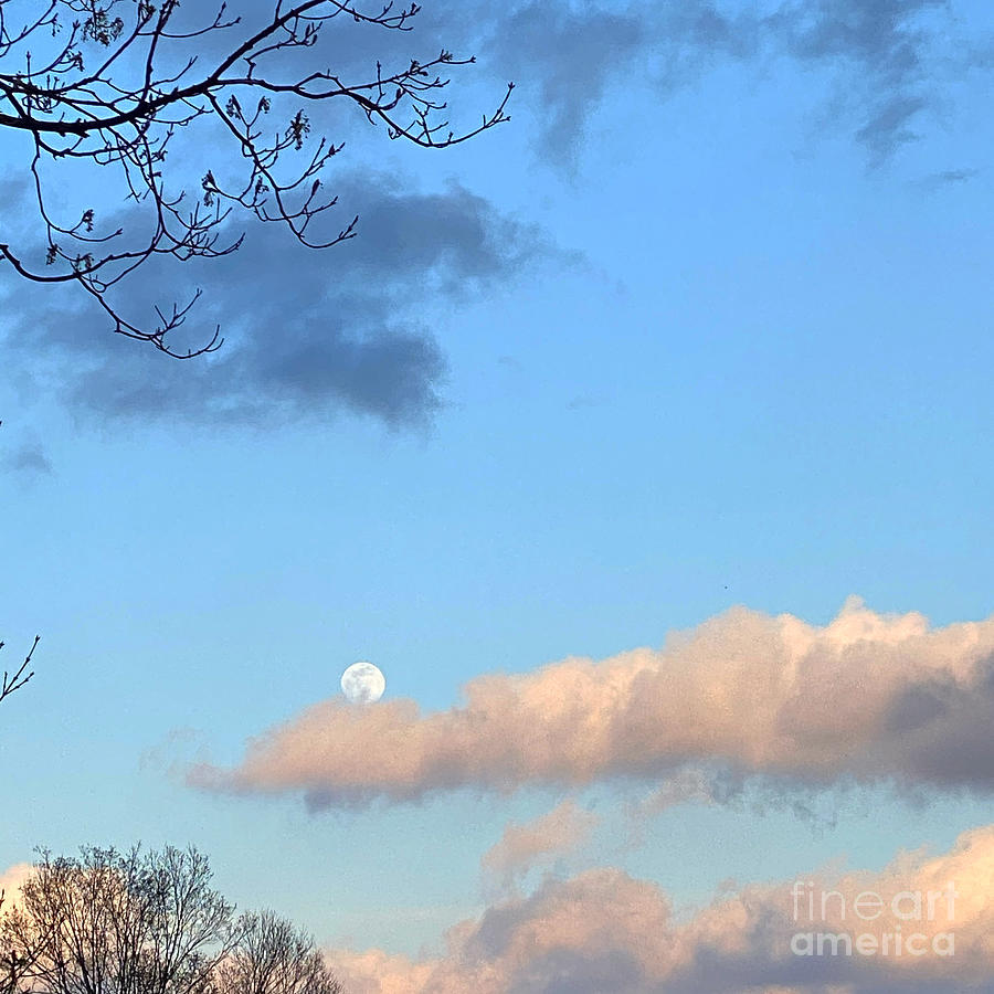 Tree Photograph - Full moon in the mountains by LeLa Becker