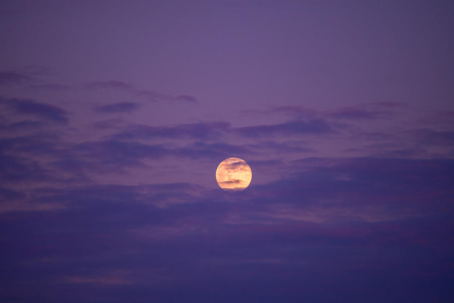 Full Moon in the sunset cloud in the purple sky Photograph by Dneutral Han