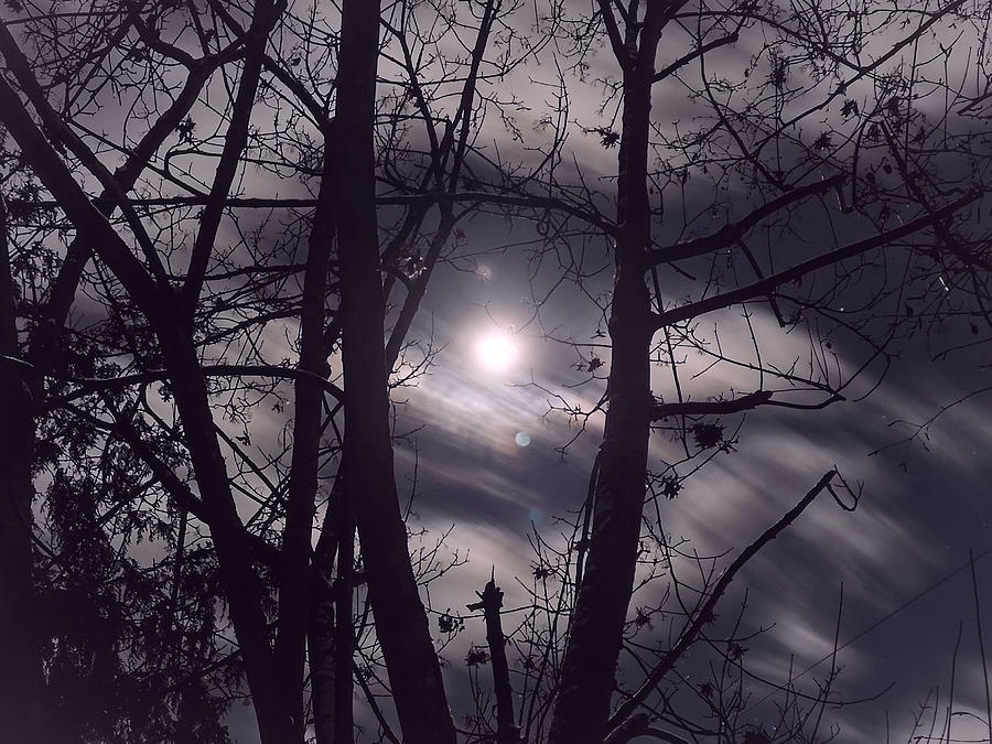 Full Moon in Winter Photograph by Linda McRae