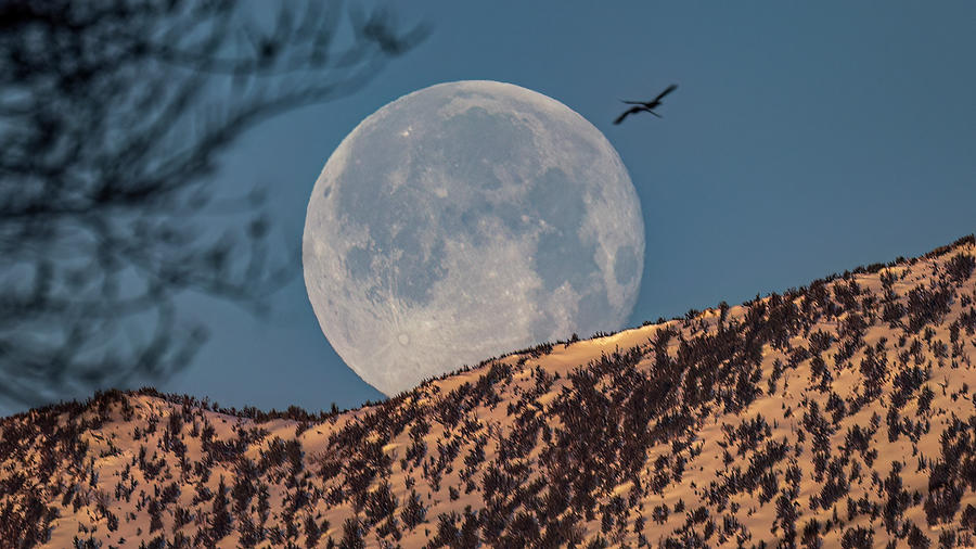 Full Moon Photograph by John T Humphrey