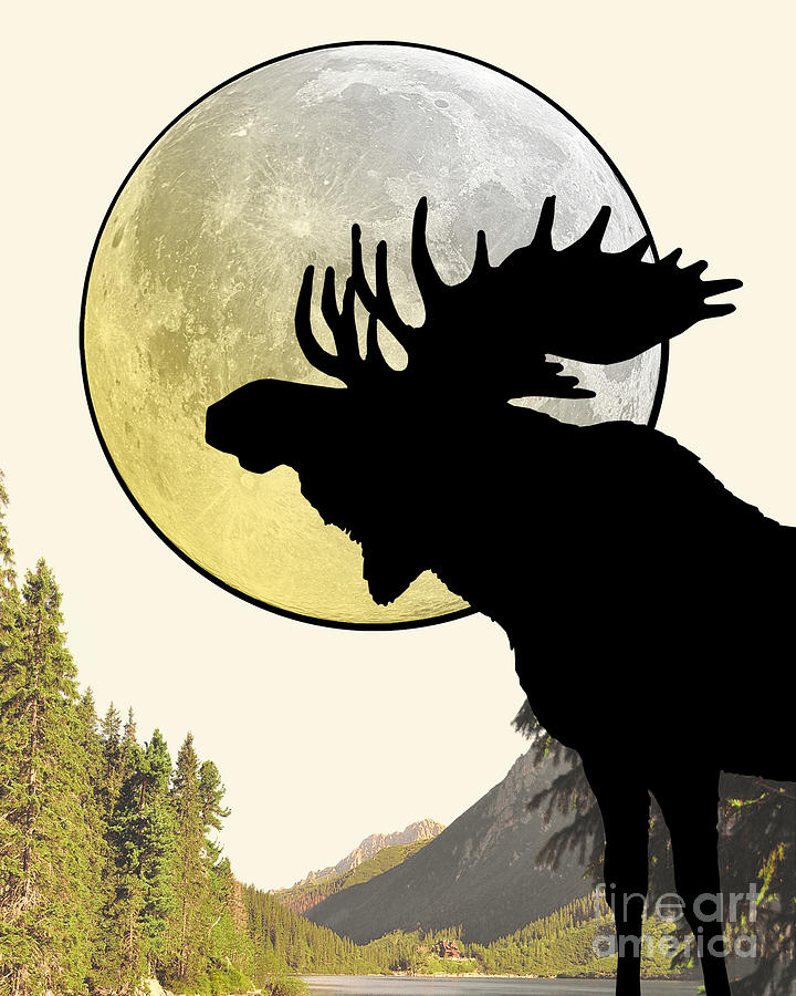 Moose Digital Art - Full moon moose by Madame Memento