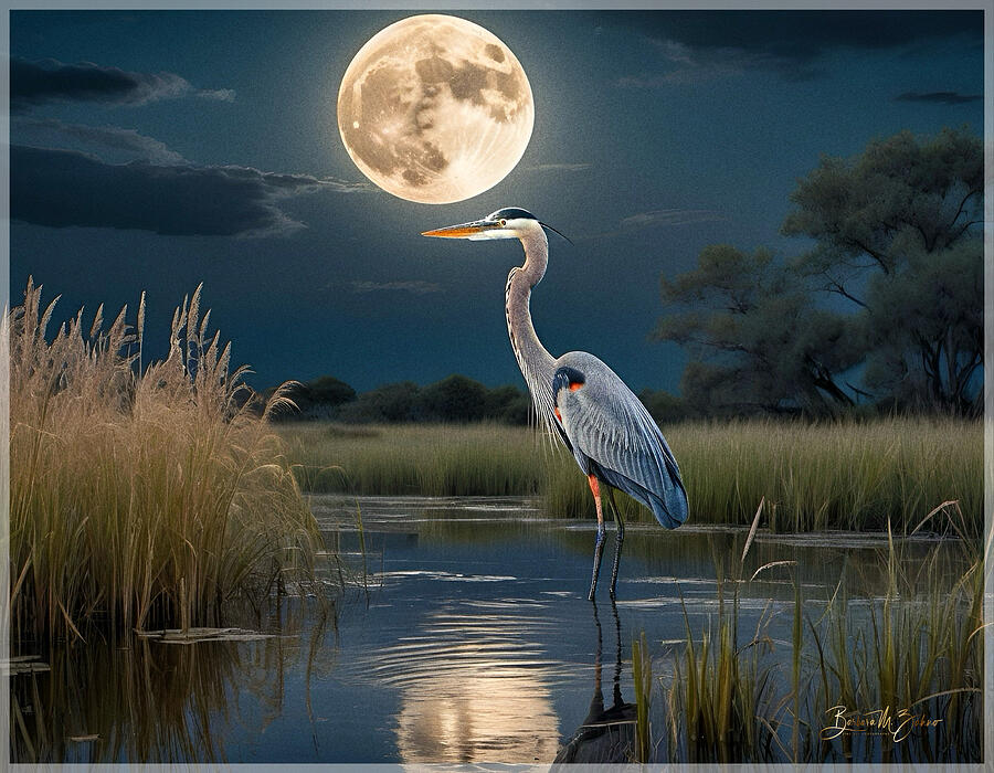 Full Moon Night Photograph by Barbara Zahno