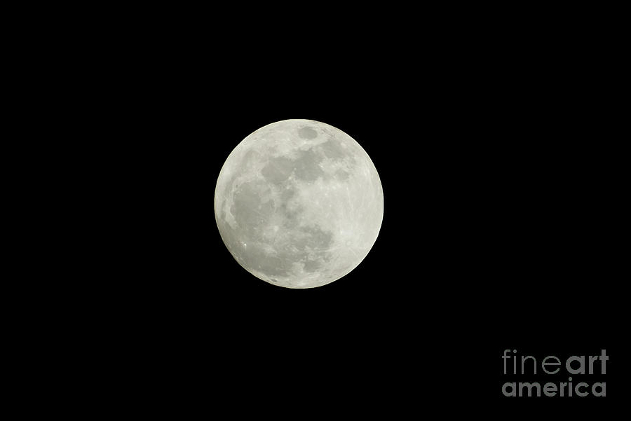 Full moon on a black background Photograph by Marek Poplawski - Fine Art America