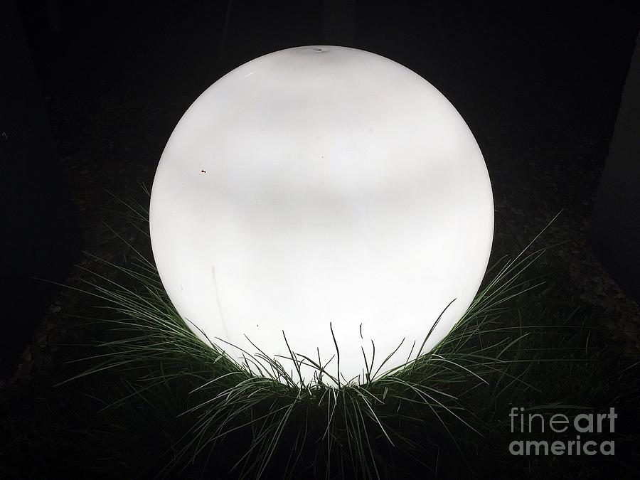 FULL MOON or LAMP? Photograph by Thomas Schroeder