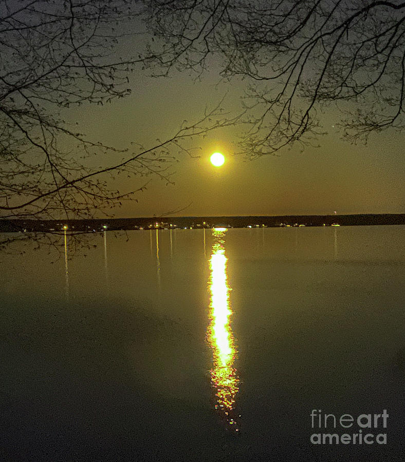 Full Moon over Seneca Lake Photograph by William Norton
