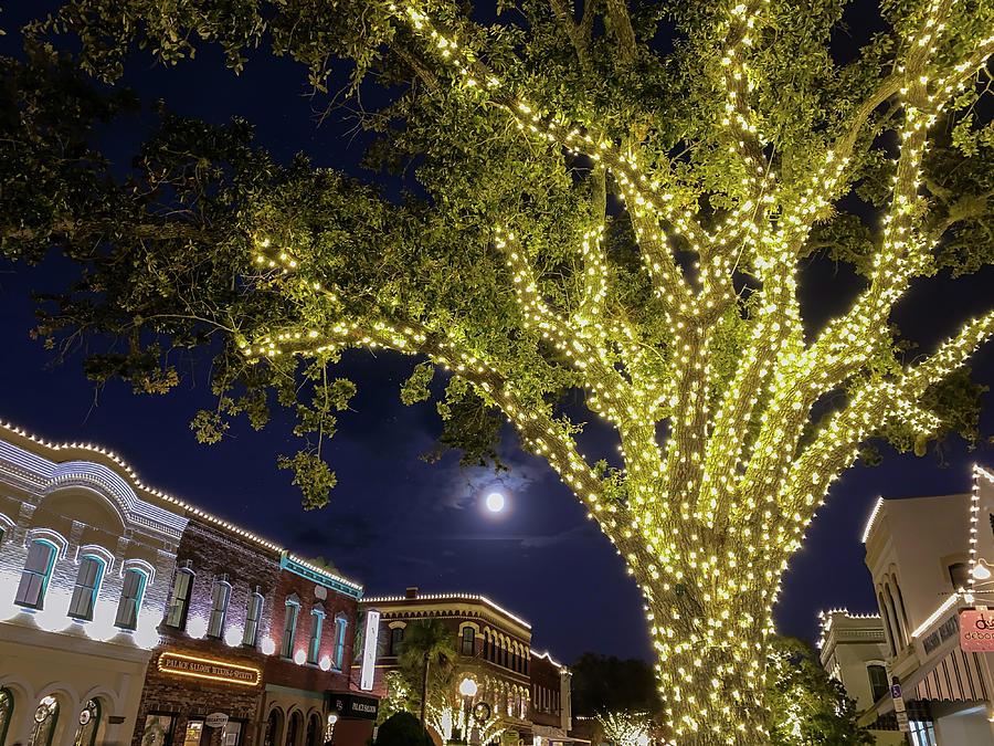 Full Moon over The Palace Saloon, Amelia Island Christmas, Florida by Dawna Roaming Near and Far Full Moon over The Palace Saloon, Amelia Island Christmas, Florida by Dawna Roaming Near and Far