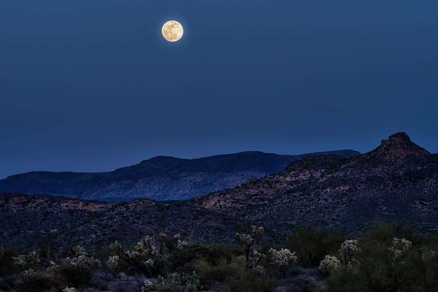 Full Moon Over The Sonoran  Photograph by Saija Lehtonen
