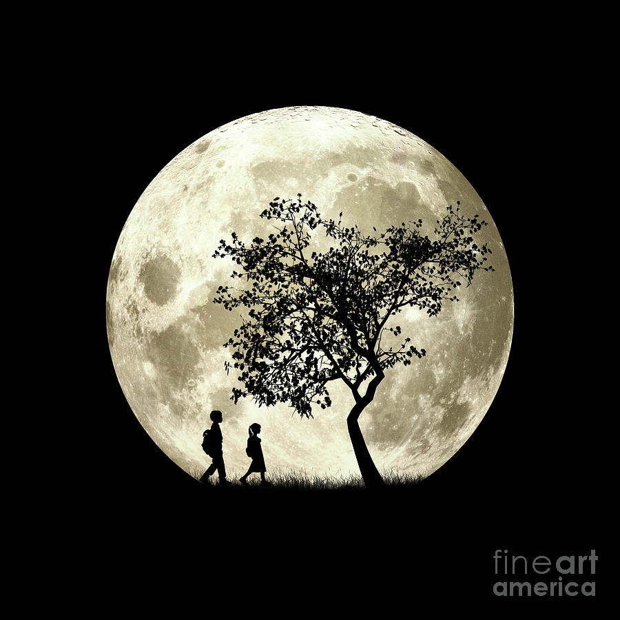 Full Moon Digital Art by Phil Perkins