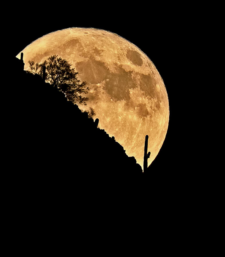 Full Moon, Piestewa Peak Photograph by Osha Davidson Fine Art America