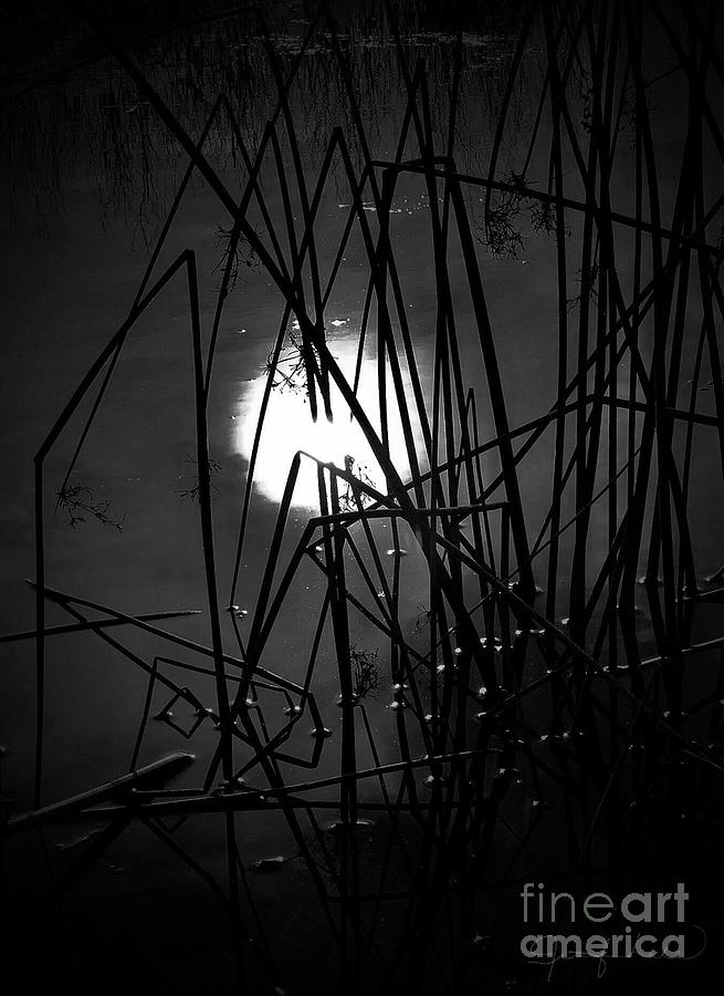 Full Moon Reflection Photograph by Jennifer Lake