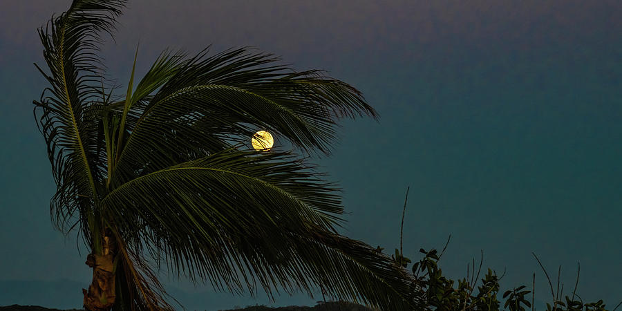 Full Moon Rise from Mazatlan Mexico Photograph by Tommy Farnsworth