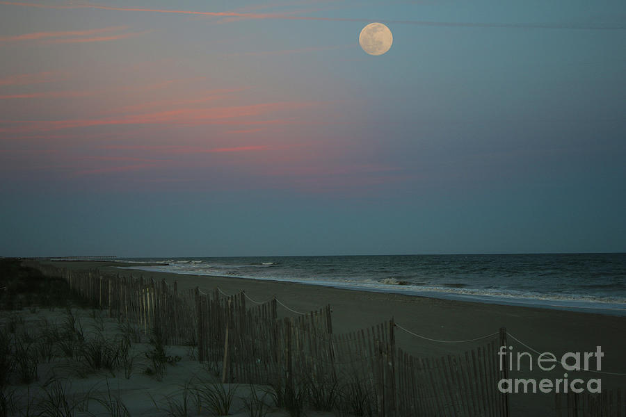 Full Moon Rising at Holden Beach 7213 Photograph by Jack Schultz