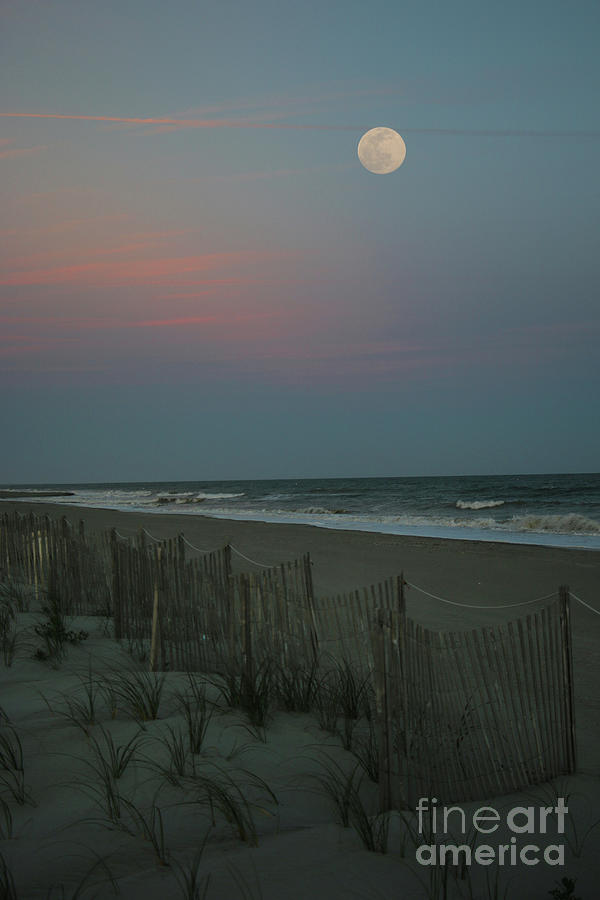 Full Moon Rising at Holden Beach 7214 Photograph by Jack Schultz