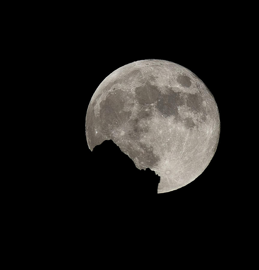 Full Moon Rising Photograph by Bob Falcone